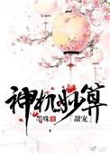 神机妙算的下一句是什么