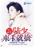 军门霸宠腹黑少帅狂宠甜妻