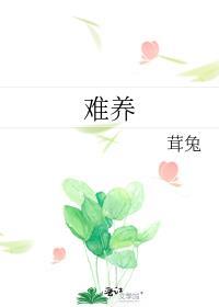 丽格海棠为什么难养