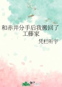 初学者免费阅读全文