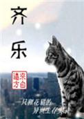 齐乐无穷取得虚拟图像专利
