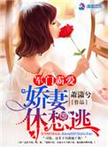 军门宠妻r