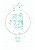 终于等到你 下一句