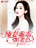辣妻乖乖叫老公全文免费阅读