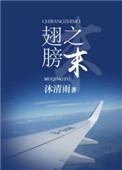 翅膀之末txt