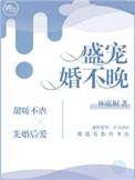 盛宠婚不晚章节阅读