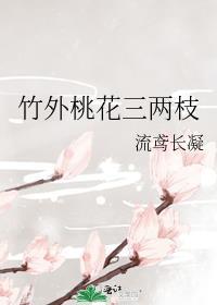 竹外桃花三两枝的全诗讲解