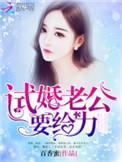 试婚老公.要给力免费阅读