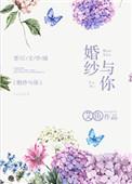 婚纱与你全文免费