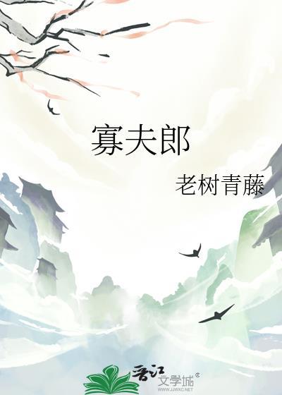 寡夫郎百度