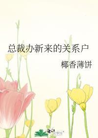 总裁办新来的关系户讲的什么