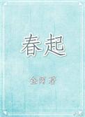春起金丙的txt