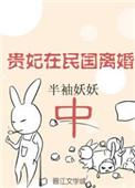 贵妃在民国离婚中书评
