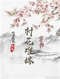 村花难嫁格格党