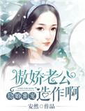 傲娇总裁宠妻99式