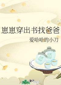崽崽穿出书找爸爸简介