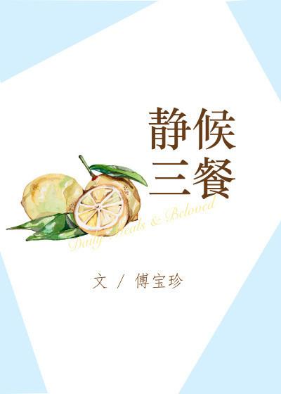 静候三餐傅宝珍宝来