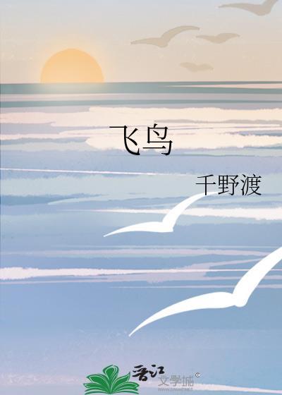 飞鸟加速安卓官方