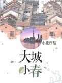 大城小春宝书网