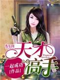 天才高手在都市免费阅读全文
