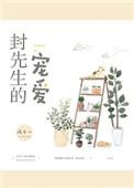 封先生的宠爱 风十一