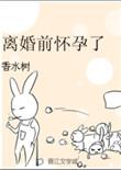 女人怀孕可以离婚吗