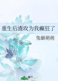 重生后渣攻为我癫狂了免费阅读笔趣阁