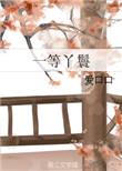 一等丫鬟和二等丫鬟