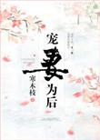 宠妻为后gl
