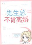 先生总不肯离婚完整版