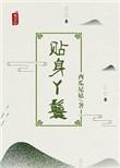 贴身丫鬟之南全文免费阅读