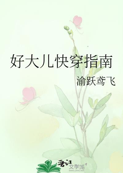好大儿快穿指南晋江手机版
