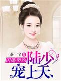 闪婚厚爱陆少宠妻入骨
