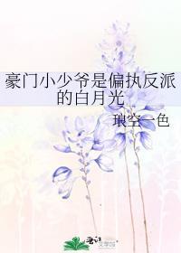 豪门小少爷是偏执反派的白月光夜伴
