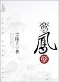鸾凤孽凌风起txt免费阅读