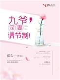 九爷宠妻请节制全文免费阅