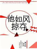 他如风掠夺好看吗