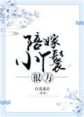陪嫁丫鬟