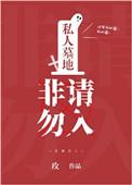 非请勿入作者玫