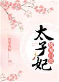 太子妃娇宠日常全文阅读