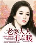 老婆大人有点暖全文免费阅读
