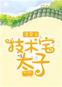 清穿之技术宅皇太子