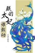 朕的宠妃是皇上 太乙小公子