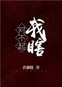 对不起我瞎TXT百度