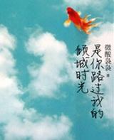 是你路过我的倾城时光mobi