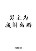 男主为我闹离婚类似文