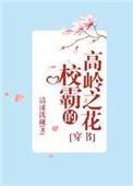 校霸的高岭之花穿书免费阅读