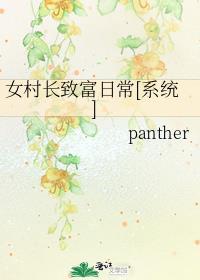 女村长的主演是谁