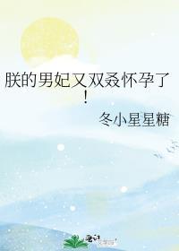 朕的男妃又双叒怀孕了免费