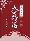 被心机夫君套路后内容简介